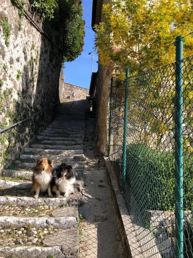 B&B Alle Scalette Trissino Italia