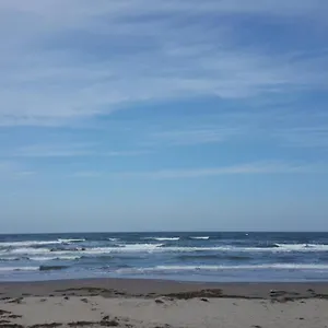 Verrazzano Sottomarina